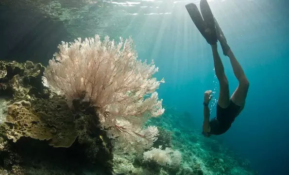 潜派旅行